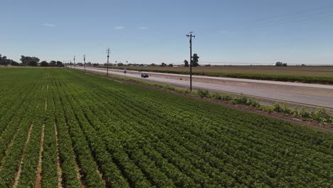 drone shot of crop fields next to 152 w highway in california
