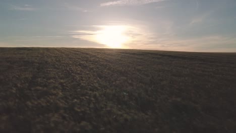 Vista-En-Movimiento-De-Drones-De-Interminables-Campos-Verdes