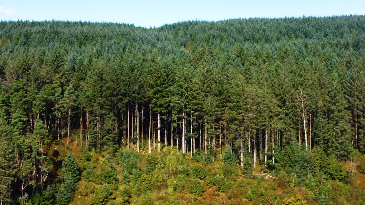 Aerial Sideways View Across Dense Forest Leading to Mountain Top. Trees in Natural Environment Viewed form the Air. Filmed in Wales, UK