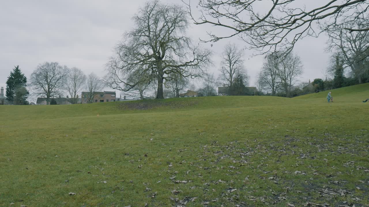 늦가을 흐린 날, 영국 일리 언덕 공원에 있는 나뭇잎 없는 나무들과 함께 아이들이 역할을 맡아 노는 장면을 더욱 와이드하게 패닝
