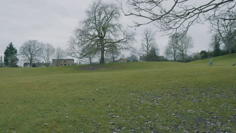 Panning-extra-wide-shot-of-kids-playing-in-a-part-on-an-overcast-day-in-late-fall-with-leafless-trees-in-a-hilly-park,-Ely-England