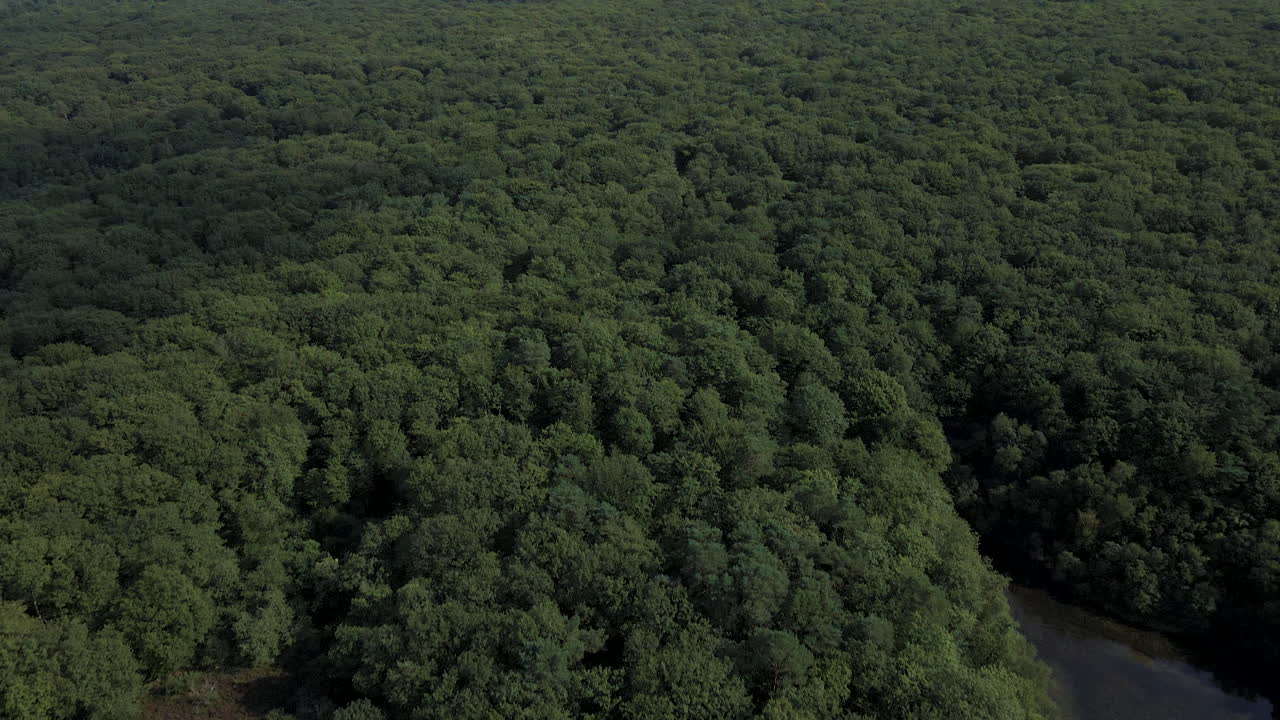 bosque de broc liande y orillas del lago en bretaña