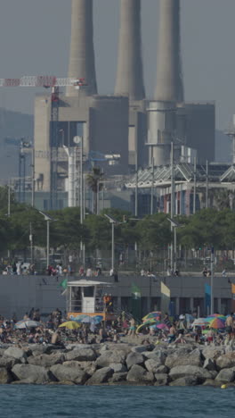 busy beach in sumer in vertical barcelona.