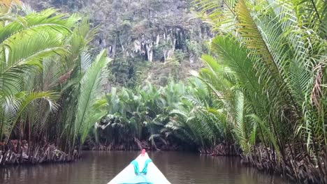 The-boat-sails-on-the-river-through-the-mangrove-forest,-Maros,-South-Sulawesi