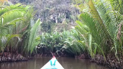 the boat sails on the river through the mangrove forest, maros, south sulawesi