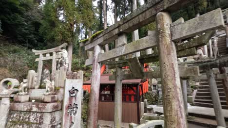 un paseo pacífico por un santuario japonés tradicional