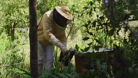 caucasian male beekeeper in protective clothing using smoker to calm bees in a beehive