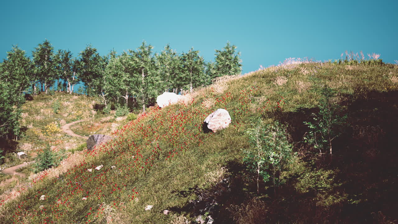 hermosa vista del idílico paisaje montañoso alpino con prados en flor