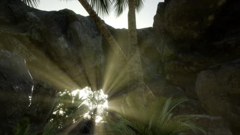 grandes palmeras en la cueva de piedra con rayos de luz solar