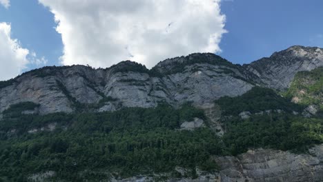 Herrliche-Felsige-Alpen-Mit-Grünem-Vegetationsteppich,-Aufgenommen-Aus-Einem-Niedrigen-Winkel