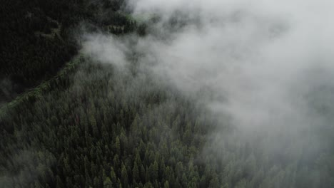 clouds rolling over the mountains and a forest