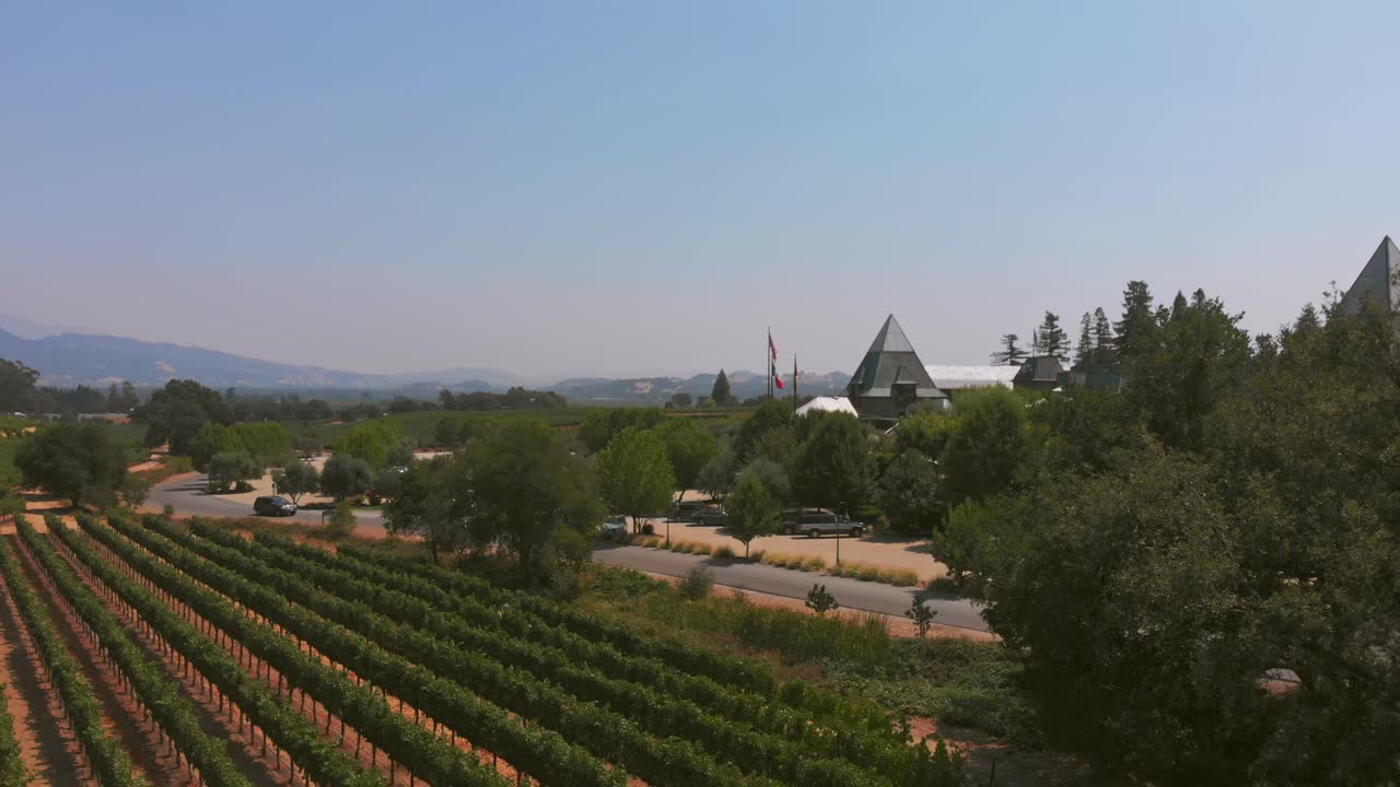 Aerial boom-up and forward over vineyard toward pyramid-roofed building with flags