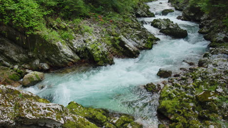 vintgar gorge slovenia – scenic mountain stream and rugged canyon views