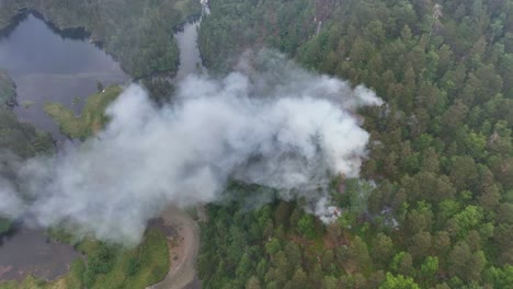 incendio forestal después de la sequía y el rayo en stamnes en vaksdal en el oeste de noruega - vista aérea de la zona de humedales y el fuego con humo