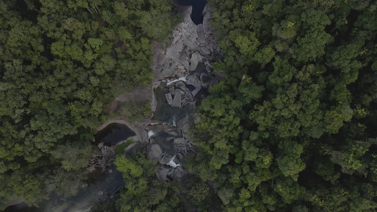 vista de pájaro en el arroyo en medio de las rocas y la espesa vegetación en la reserva escénica de babinda en cairns, lejano norte de queensland, australia - toma aérea de drones