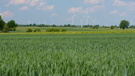 concept solution against climate change, wind turbines in green countryside