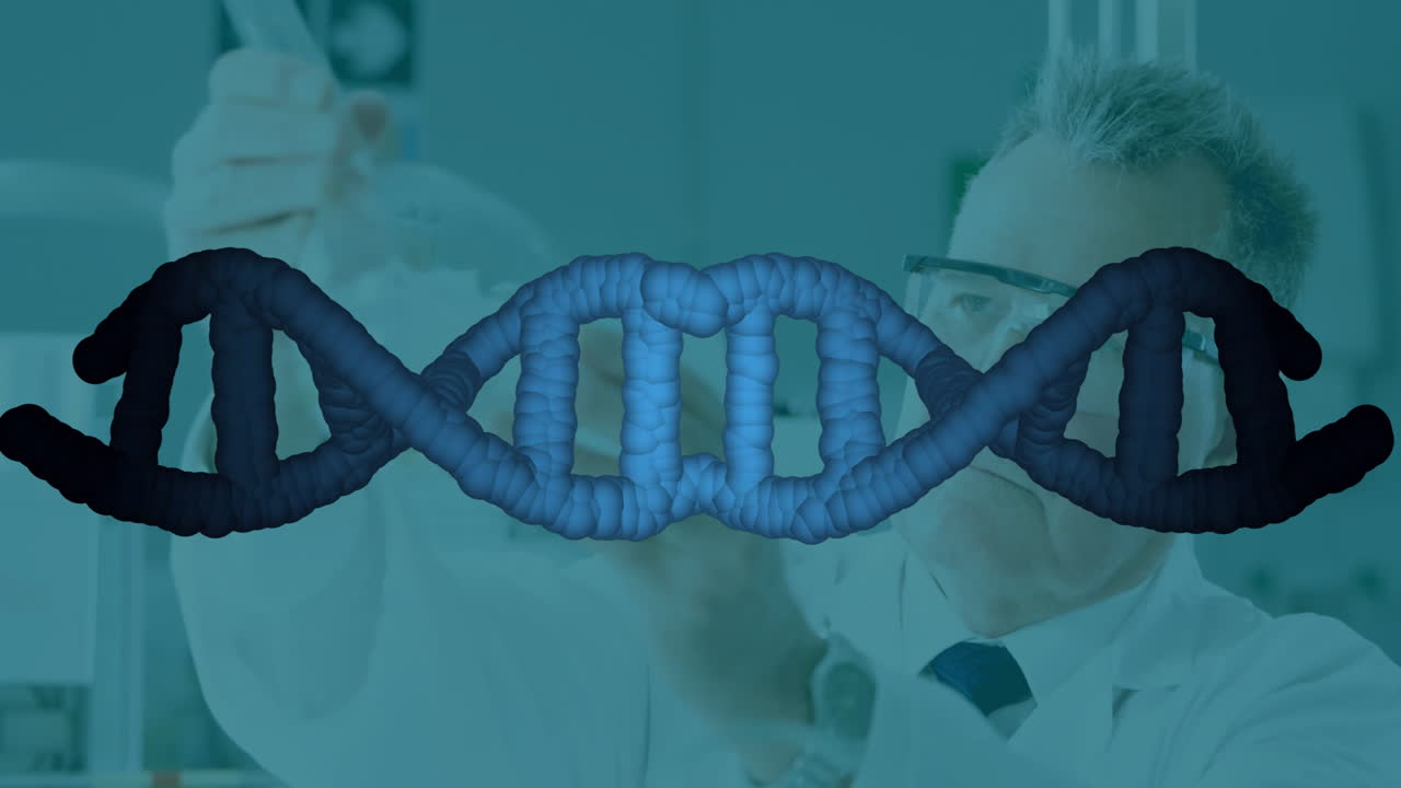 Senior male doctor examining sample in clinical research lab, displaying blue DNA helix animation