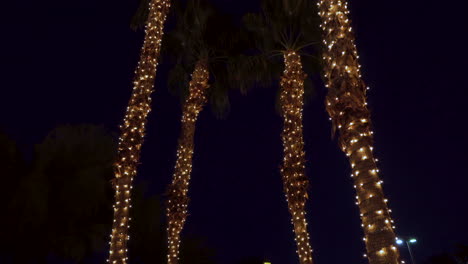 cinco palmeras decoradas con navidad en el crepúsculo de florida.
