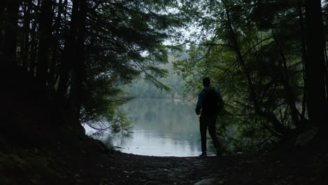 person trail running in the forest to the end at the lake, aerial dolly forward