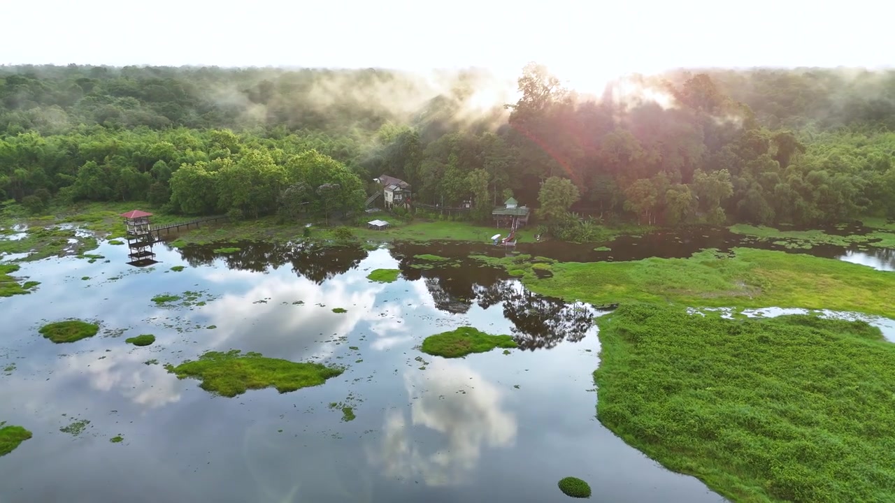 Panoramic view of flooded swamp in Nam Cat Tien international Park - Vietnam