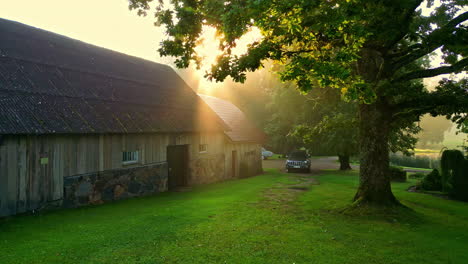 pan shot of sunlight flickering from tree leaves near countryside house