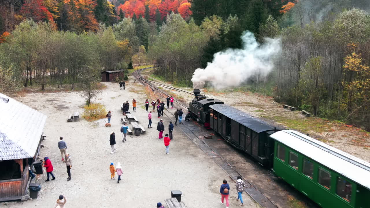 Autumn Train Ride in Scenic Forest Landscape