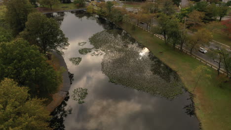 a drone shot of a pond on a cloudy day