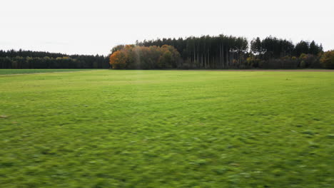 Sumérgete-En-El-Encanto-Otoñal-Mientras-Nuestro-Dron-Se-Desliza-Con-Gracia-Sobre-Los-Dorados-Campos-De-Cultivo,-Ofreciendo-Una-Visión-Cautivadora-De-La-Belleza-De-La-Agricultura-Estacional.