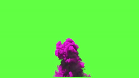 pink and purple smoke explosion on green screen