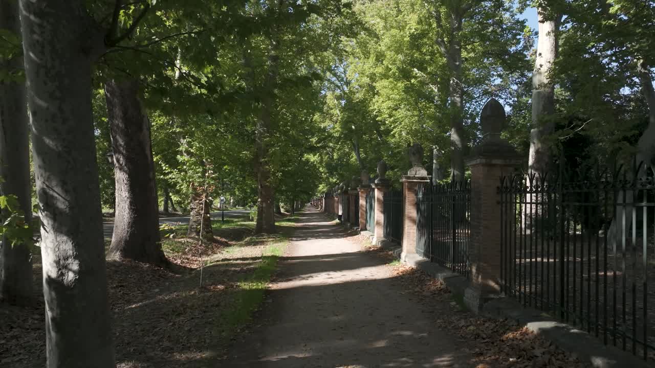 vuelo de avión no tripulado en sentido inverso en un camino de tierra interminable paralelo a los jardines del príncipe en aranjuez, por un lado aparece la valla de los jardines y por el otro una línea de árboles de platanus hispanica