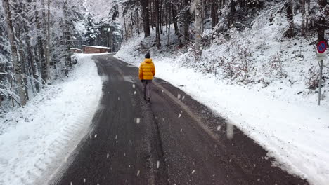 person wearing orange winter jacket walking on forest road during snowfall, back view