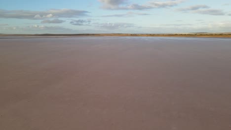 drone aerial going sideways over shiny dry pink lake in australia with a flat landscape