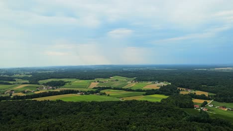 imágenes aéreas de drones 4k de bosques y campos agrícolas en eslovenia