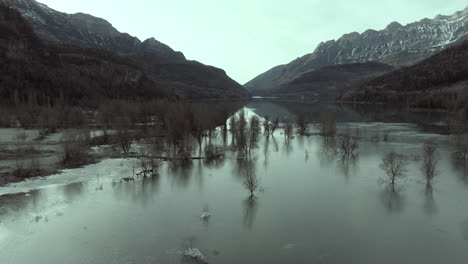 frozen lake valley with flooded trees