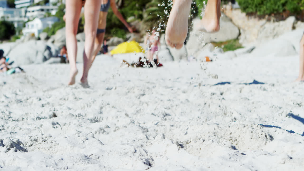 여자 배구 선수 들 이 배구 를 치고 있다 4k