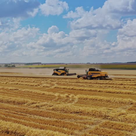 agricultural works on yellow field under blue sky. modern combine harvesters gathering ripe wheat in the farmland in summer. camera moves forward.