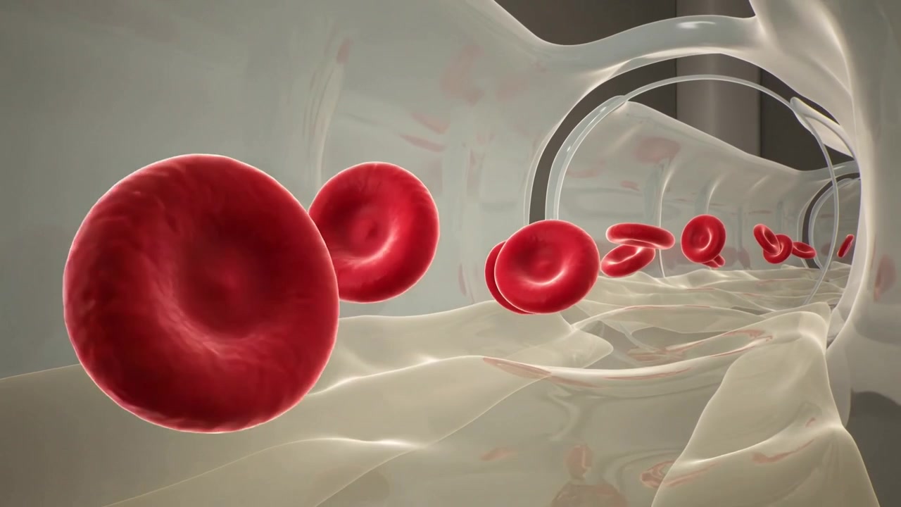 Moving camera entering translucent vascular lumen, simulating flow with red blood cells passing by