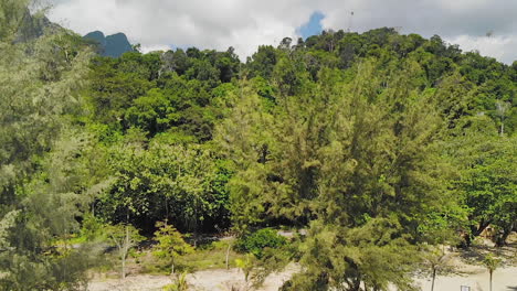 toma aérea ascendente que revela el fondo montañoso en una isla tropical