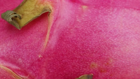 close-up of dragon fruit skin
