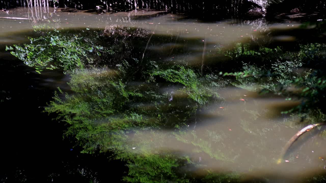 리쿠기엔 정원의 아름다운 풍경