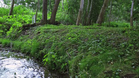 Polish-creek-with-footbridge-located-in-historical-part-of-poland-names-Eastern-Borderlands,-near-Ukrainian-border-and-Molotov-Line