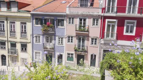 Toma-Panorámica-De-Los-Hermosos-Edificios-Del-Casco-Antiguo-De-Lisboa-Con-Un-Parche-De-Flores-En-Primer-Plano