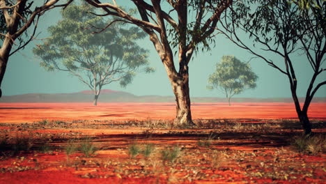 African-savanna-landscape-with-acacia-trees