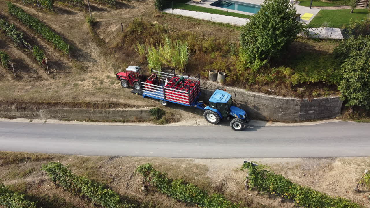 Farmer harvesting vineyard with tractor machinery