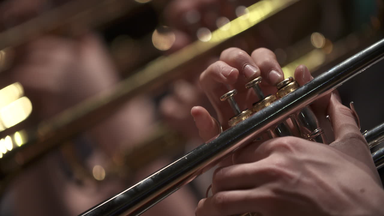 콘서트 8에서 트럼펫을 연주하는 음악가