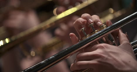 musician playing trumpet at concert 8