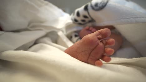 newborn feet. close up and static view