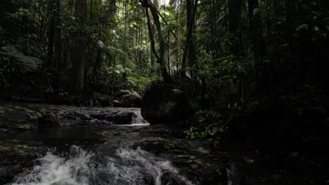 people exploring a lush tropical rainforest oasis walking track with cascading waterfalls flowing into waterholes