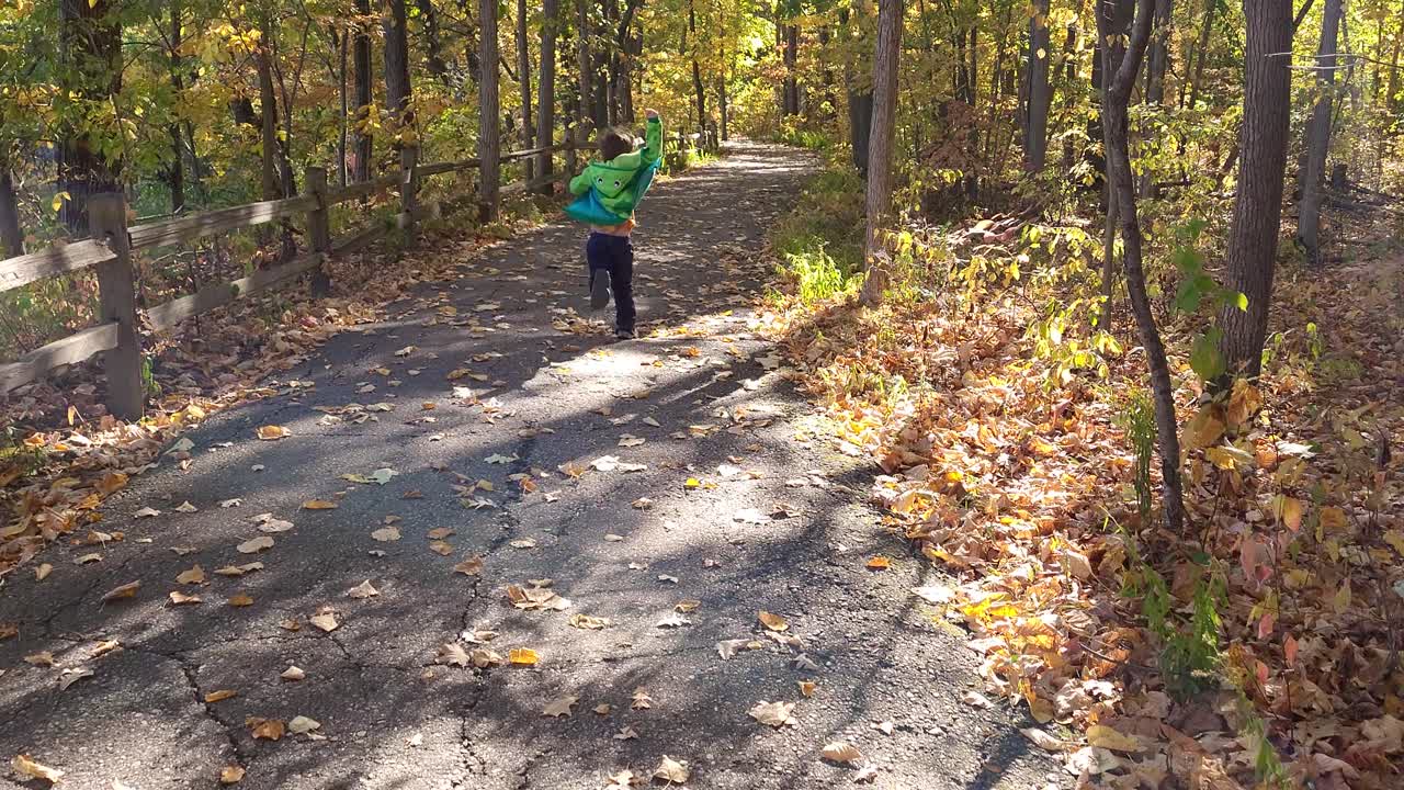 Young boy running in Oakwoods Metropark, Michigan, USA