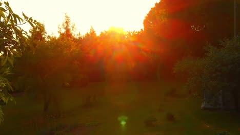 Sonnenlicht,-Das-Im-Sommer-Durch-Grüne-Bäume-Scheint,-Wisconsin,-Usa